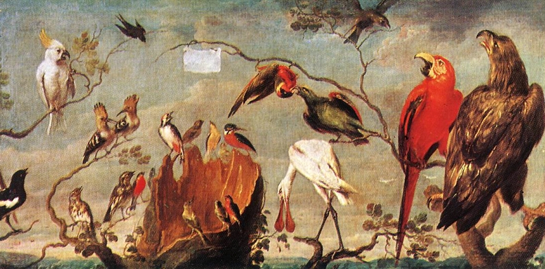 Concert of Birds